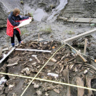 Excavaciones arqueológicas en el noreste de Siberia. ELENA PAVLOVA