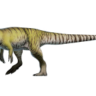Así era el Torvosaurus, uno de los depredadores de mayor envergadura de la segunda mitad del Jurásico.