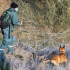 Un miembro del equipo de búsqueda rastrea el río con un perro en busca de Esther. RAÚL GARCÍA