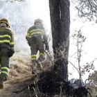 Agentes forestales en un incendio en la provincia