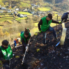 Varios participantes en la iniciativa de WWF Alto Sil trabajan en la escombrera de Orallo. DL
