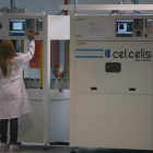 Una antigua trabajadora de Cel-Celis, antes de que la fábrica se viera abocada al cierre. L. DE LA MATA