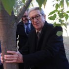 Gil Aluja visita el árbol que plantó en el campus cuando le hicieron doctor Honoris Causa en 2002. RAMIRO