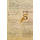 Imagen de la página del códice que se refiere a San Marcelo