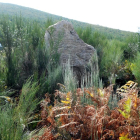 Menhir descubierto en las inmediaciones de la pedanía de Tejeira, perteneciente al municipio de Villafranca del Bierzo.