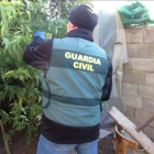 Un agente trabaja en la zona. DL