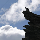 Escultura de un lobo en el alto de la montaña en las proximidades de Buiza de Gordón. JESÚS F. SALVADORES