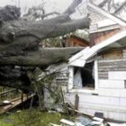 Un árbol destruye parte de una casa en Beaumont