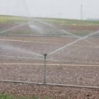 El agua de los pozos permitirá el riego por aspersión en alrededor de 10.000  hectáreas