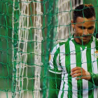 El delantero bético Rubén Castro, durante un partido en el Benito Villamarín.