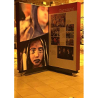 El Centro de Interpretación de las Tierras Bañezadas acoge desde hoy la exposición. DL