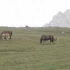 El puerto de Pinos, objeto de pleito entre Babia y Mieres