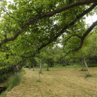 El entorno natural de la Tebaida Berciana. L. DE LA MATA