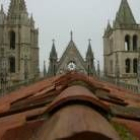 La cubierta de la Catedral se encuentra en un estado desolador