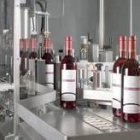 Proceso de embotellado en una bodega de Tierras de León