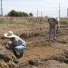 Los expertos trabajaban ayer en las áreas de actuación delimitadas