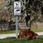 Cartel con la prohibición de dejar perros sueltos en una zona verde de la capital. RAMIRO