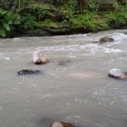 Estado del río Cabrera este pasado sábado a la altura de Robledo de Losada. DL