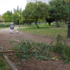 Una rama caída en el parque León Felipe de Zamora. M. A. MONTESINOS