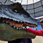 ‘Dino Expo’ abrirá el próximo fin de semana en el León Arena ante el éxito en la venta de entradas