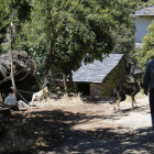 El alcalde de Castrillo, Tomás Blanco, pasea por las calles desiertas del pueblo.