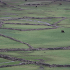Paisaje tradicional de cercas de piedra o ‘murias’ en la Montaña Occidental. Debajo, el chorco de los lobos de Valdeón. RAMIRO/ ARCHIVO