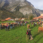 La feria acogió las reses de las explotaciones del valle. CAMPOS