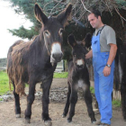 Criador de burro zamorano leonés