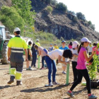 Los escolares plantando los cerezos en la cantera de Cosmos en Corullón. DL