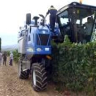 La máquina de Vitisagro comenzó ayer a recoger los racimos del viñedo de Agribergidum en Cacabelos