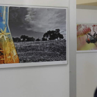 La exposición de fotografías científicas está abierta al público en la Facultad de Biología.