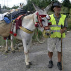Pepe Villanueva, con su burro ‘Pajarito’ y su perra ‘Chispa’, ayer, en las afueras de la capital leonesa.