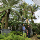 Instalaciones del vivero ubicado en Igüeña para proyectos de la Ciuden, en una foto de archivo. L. DE LA MATA