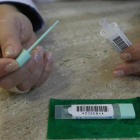 Utensilios que distribuyen las farmacias catalanas para realizar el test de detección del cáncer de colon.