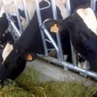 Tras el primer caso de vaca loca se han tomado las medidas necesarias para garantizar la seguridad