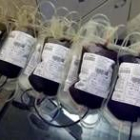 Bolsas de sangre procedente de donaciones, dispuestas para remitir a centros sanitarios