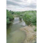 El Ayuntamiento prevé recuperar las márgenes del río Torío
