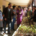 La alcaldesa de Mansilla repartió plantas entre los vecinos.