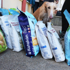 El reparto de alimentos para las mascotas de las familias más necesitadas se realiza en el centro social de la Serna