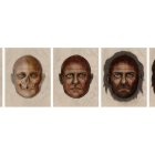 El retrato robot del ‘hombre de Arintero’ realizado por el CSIC a partir de las muestras genéticas de tres milímetros tomadas de su tercer molar.