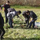Un grupo de jóvenes planta higueras, ayer en el cinturón peatonal del río Bernesga.