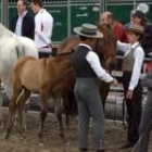 El recinto ferial reunió a más de doscientos ejemplares de pura raza, cruzados y de doma vaquera