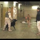 Los periódicos norteamericanos no se cansan de mostrar nuevas fotos sobre las torturas que inflingieron los estadounidenses a sus presos iraquíes.