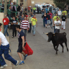 Imagen de una de las vaquillas, ayer en el último encierro por las calles de Villademor.