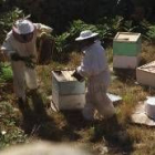 Dos apicultores trabajando en un colmenar de la provincia, en una imagen de archivo