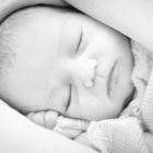 Fotografías de algunos de los 340 bebés fotografíados ya nacidos en el Hospital de León.