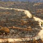 Bomberos en una superficie arrasada en el incendio de Xàbia.