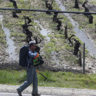 Un peregrino de camino por viñedos del Bierzo. DE LA MATA