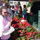 La Feria de Hortalizas y Legumbres quedará inaugurada mañana a las 13.00 horas.