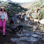 Violeta Alegre custodiada por sus mastienes mientras lleva a las ovejas a pastar en el puerto
